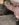 7B01F7D0-C85F-40D0-9934-46405D559443.jpeg