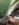 F9BFB688-64F8-4EE3-9DF4-65A6D22AAA93.jpeg