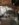 EE08D912-BF22-40AC-A3E4-9CBD97C4E284.jpeg