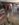 F4870423-4D5D-4183-8238-42F4B1134553.jpeg