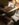 6945448F-615C-4ED5-8EEF-B108769DF5B7.jpeg