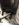 CE23F523-616B-4B3D-BE08-BB2D999CC693.jpeg