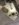 EADD224A-D480-476E-A1A0-DEFD94857CA3.jpeg