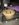 F8B8B3CE-627F-4D8C-858B-E4E89B0C61CA.jpeg