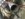 CB492B79-3FAB-41A3-BFE2-1DEC45AC7E6B.jpeg