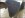 new body 4.jpg