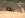 CIMG2976.JPG