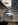 Truckin 003.jpg