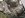 10 24 06  5 Speed 4x4 PU Radiation 003.jpg