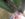 F202C2AA-D5EC-488D-B811-8462D57C35A8.jpeg