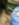 559DCB55-D3B6-4AB2-B2F8-113C72519FE7.jpeg