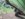801F19AA-BC28-42D1-9CE1-39338CA30F34.jpeg