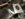 D18F3AD9-E93C-4C54-B04A-98AD8DF2BD66.jpeg
