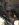 F892A25F-60A9-49A5-81BC-4CEBBC9D1B66.jpeg