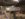 B3CAD608-2F8F-4D6E-9391-02B29D471E8F.jpeg