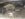 987FD55C-69E3-4456-B1DC-EA4522B711EB.jpeg