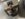 336B1F05-2C1D-484A-9A20-193C9F099F45.jpeg