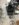 D22D11D9-81A4-42CF-9E8A-F0031822EF8F.jpeg