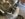 040873C7-C98A-43B0-A771-8FDA2CCF78CD.jpeg