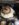 5E273AFB-82B8-441A-9E70-0A9A15F663FB.jpeg