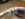 F0BF7067-7D5A-4F5D-BA82-58D9E61C0552.jpeg