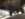 9DDFE0AD-A41C-40D2-A3EB-1CF1D51760DA.jpeg 9DDFE0AD-A41C-40D2-A3EB-1CF1D51760DA.jpeg