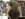 8E43B0BD-7F8B-4916-9980-3E3F190EC5BE.jpeg 8E43B0BD-7F8B-4916-9980-3E3F190EC5BE.jpeg