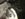 8904177F-8FFB-463A-9687-564B5AF454C6.jpeg 8904177F-8FFB-463A-9687-564B5AF454C6.jpeg