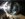 5F792C31-AB64-4BC0-8D56-7BB43E57AA45.jpeg