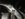 2D7EE800-48F4-45B1-9D5B-441F6B1A16C2.jpeg