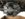 A22D11D2-F29C-48AE-AEC3-EA84F8EA2E90.jpeg