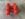 42A9BC85-5B0D-4514-8D5B-64D8ED707BD7.jpeg