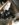 62F10AB8-2BA6-417D-9F93-9263D421D943.jpeg