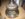 BFA56D55-4569-4085-8E72-621A88FDA985.jpeg