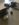 13D82E73-78D6-4C14-BC55-0C367A324BCB.jpeg