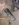 17D27B97-AE8C-4C08-B8F5-724240503E5A.jpeg