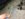 6243A81B-21D7-46FE-8E33-36F0E0E22B52.jpeg