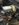 BE266ADE-C321-4CD6-A9FB-E4422E800B0D.jpeg
