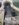 20180424_183827.jpg