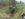 353B79BC-822E-4138-B048-B95B53E286FF.jpeg