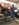 9E6FA048-8CFB-4CC8-BBB6-03F26C78317B.jpeg