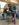 352A5FE6-ABB4-4AC2-A2D5-F1254B138EC8.jpeg