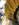 4F8D59D4-9B6C-4E13-AF19-1DF642BF8A73.jpeg