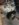 E6573881-1542-4565-8632-263C76FDF517.jpeg