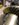 FBBCE79A-8570-4A10-9A8E-0523607D3185.jpeg