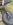 received_10215535940101164.jpeg