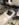 19D79F5E-1C80-4116-94B0-F4BF77444DB3.jpeg