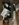 6BF3B825-A151-4116-972C-34EB47B0B80C.jpeg