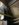 2934D402-0CDE-47DE-A20C-2476821095B2.jpeg