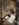 411F12C5-5C54-4752-8FC4-19F9D3DCD8B7.jpeg